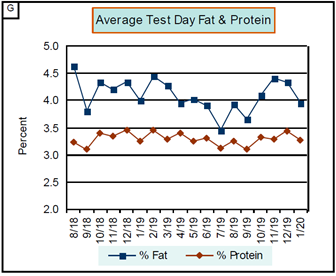 Block G graph showing milk fat depression started in May, and lasted until September. Losses were about 0.35 (range from 0.10-0.57) percentage points per month starting on June-September when compared to percent fat in May. Remember that milk fat varies depending on when (AM or PM) plants conduct monthly testing.  Fat is higher in the morning and you need to keep that in mind when reading your DHI report.
