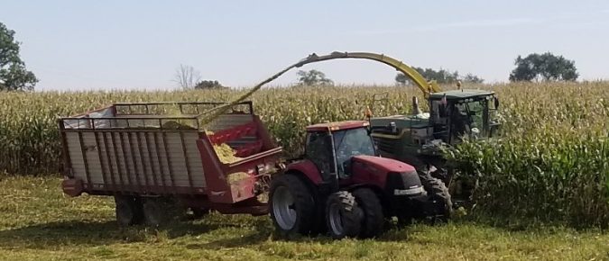 Pricing Corn Silage