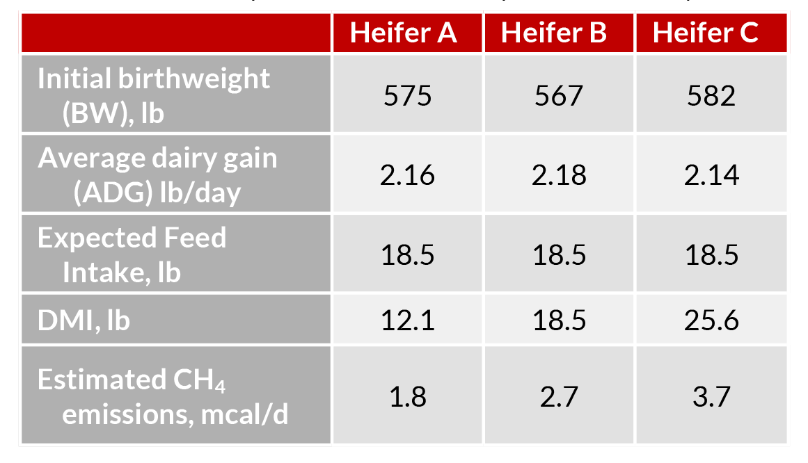 What kind of dairy cow should you be creating? Dairy