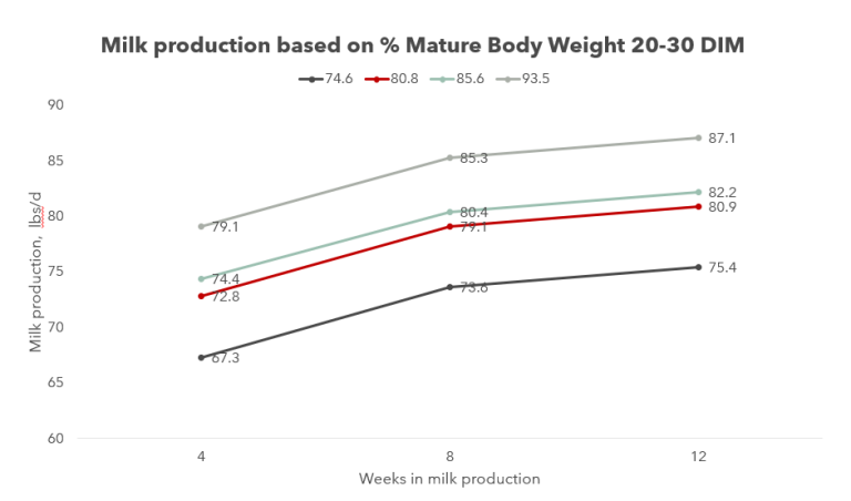 You can’t manage what you don’t measure Knowing and managing heifer