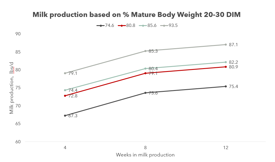 You Cant Manage What You Dont Measure Knowing And Managing Heifer