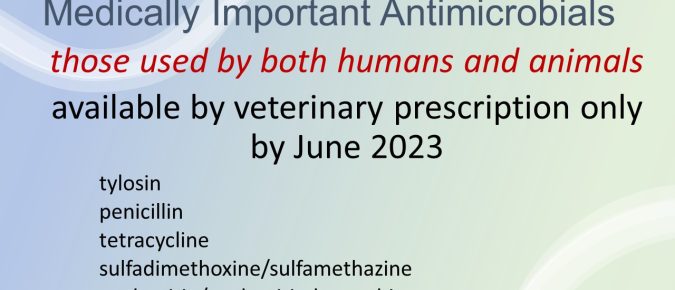 Are you ready? Antibiotics for livestock will be prescription only in 2023