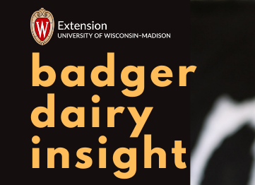 Access the latest UW-Madison Division of Extension dairy cattle research during the upcoming Badger Dairy Insight Webinar Series