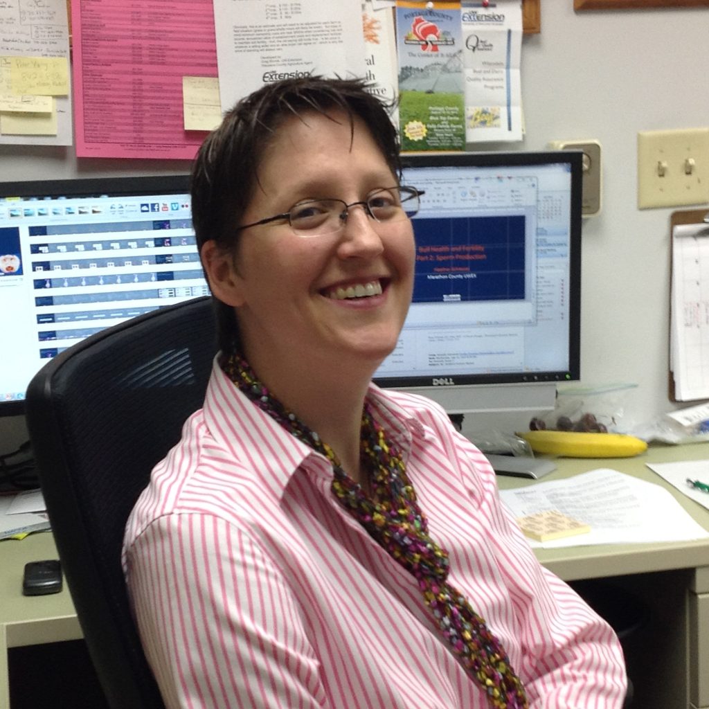 Environment shot of Heather Schlesser.  Heather is sitting in her office in front of her computer.  She is wearing a pink and white striped collared shirt and a multicolored scarf.  She is wearing glasses and has short brown hair.