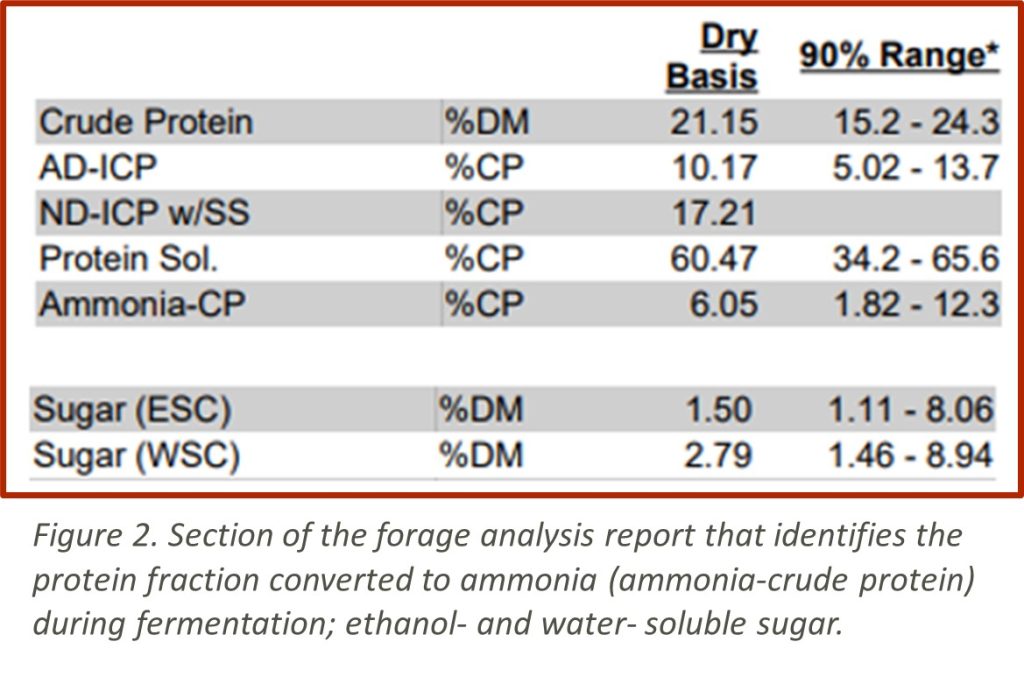 Figure 2. Section of the forage analysis report that identifies the protein fraction converted to ammonia (ammonia-crude protein) during fermentation; ethanol- and water- soluble sugar.
