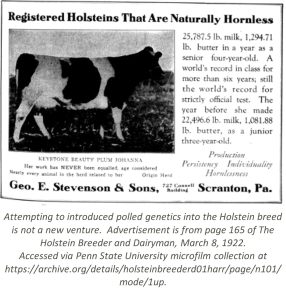 Vintage Printing block - Advertising Holstein Milk (early 20th) Vintage Printing block - Advertising Holstein Milk (early 20th)