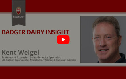 The image is a screenshot from a video titled "Badger Dairy Insight" featuring a man named Kent Weigel. The top portion displays the University of Wisconsin Extension logo in red and gray colors. Below that is a play button icon for the video. The lower part shows Kent Weigel's photo along with his title as Professor & Extension Dairy Genetics Specialist in the UW-Madison Department of Animal & Dairy Sciences, Division of Extension.