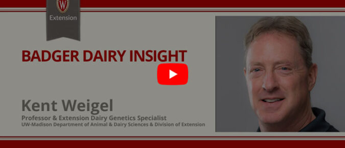 ▶ Watch: Selection of dairy cows for consistent performance under predictable conditions