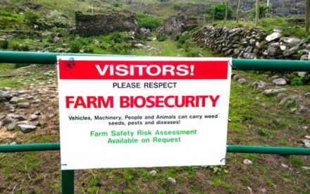 A red and white warning sign instructs visitors to respect farm biosecurity measures to prevent the spread of weeds, pests, and diseases that can be carried by vehicles, machinery, people, and animals. The sign is mounted on green metal poles in a rural landscape with rocky terrain and sparse vegetation.