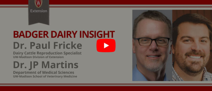 ▶ Watch: Strategies for improving reproduction in dairy herds