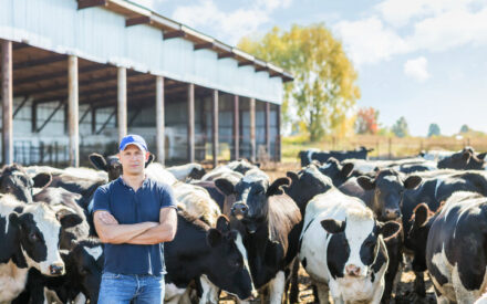 The image shows a farmer standing in front of a herd of dairy cows in a farming environment. The farmer is wearing a baseball cap, a blue polo shirt, and jeans, and has his arms crossed as he observes the cows. The cows are mostly black and white in color, with a large barn or livestock structure visible in the background. The scene suggests a thriving dairy farm operation.