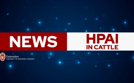 HPAI Update: Mandatory testing of lactating dairy cattle moving across state lines