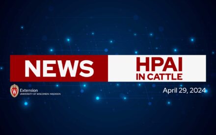 The image is a news header or ticker with the text "NEWS" in large red letters, and "HPAI IN CATTLE" in a white box next to it, indicating a news story or update related to Highly Pathogenic Avian Influenza (HPAI) in cattle. The date "April 29, 2024" is displayed, along with the University of Wisconsin-Madison Extension logo. The background is dark blue with scattered glowing blue dots, resembling stars or particles in space.