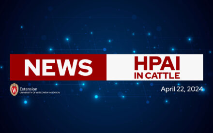 The image shows a news broadcast graphic with the titles "NEWS" in red and "HPAI IN CATTLE" in white on a red and white background. The date "April 22, 2024" and the University of Wisconsin-Madison Extension logo are also displayed on a dark blue background. The overall visual suggests a news update or report related to Highly Pathogenic Avian Influenza in cattle, with the University of Wisconsin-Madison Extension being associated with or providing the news coverage on the given date.