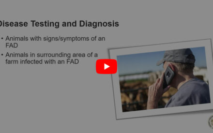 Slide titled 'Disease Testing and Diagnosis' with bullet points listing criteria for animal disease testing. An image shows a person using a mobile device or tablet while outdoors on what appears to be a farm setting, likely related to disease monitoring or diagnosis efforts. A play button indicates a possible video demonstration.