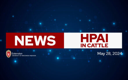 HPAI Update: USDA clarification on Federal Order for dairy cattle