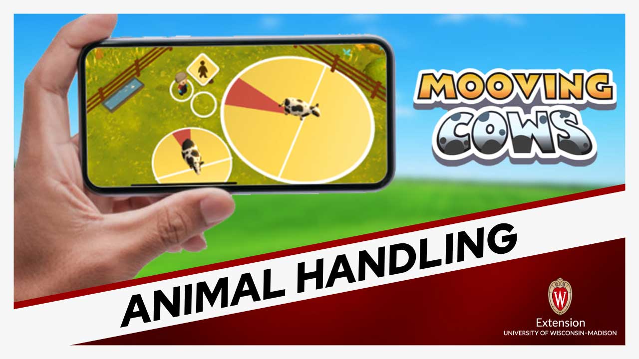 The image shows a mobile game called "Mooving Cows" being played on a smartphone.