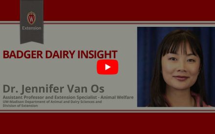The image is a screenshot from a video titled "Badger Dairy Insight" featuring Dr. Jennifer Van Os. The top portion displays the University of Wisconsin Extension logo. Below that is a play button icon for the video.