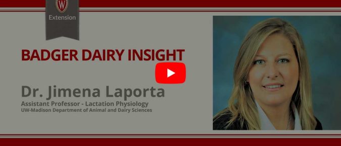 ▶ Watch: Understanding the carryover effects of early life heat stress on dairy calves