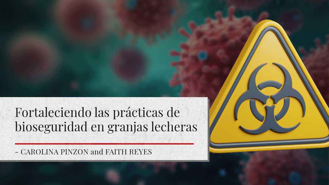 A yellow yellow biohazard sign against a backdrop of red virus particles. Below is a title "Strengthening biosecurity practices on dairy farms" with authors Carolina Pinzon and Faith Reyes.