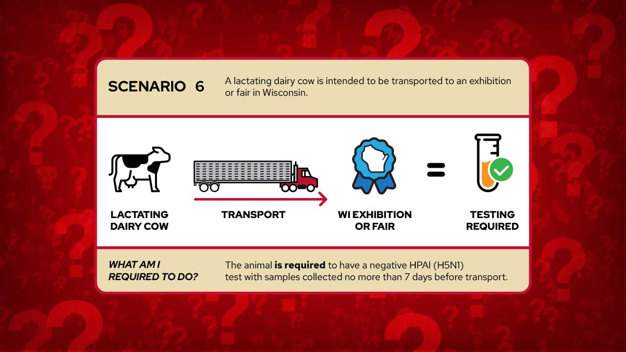 Image featuring a scenario when testing for HPAI may be required.