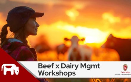 A silhouette of a person wearing a cap, facing a sunset with cows in the background. The image includes text "Beef x Dairy Mgmt Workshops" and logos for University of Wisconsin-Madison Extension.