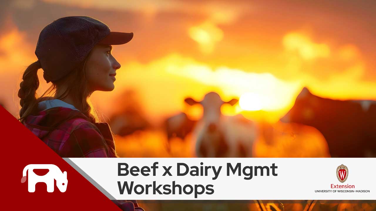 A silhouette of a person wearing a cap, facing a sunset with cows in the background. The image includes text "Beef x Dairy Mgmt Workshops" and logos for University of Wisconsin-Madison Extension.