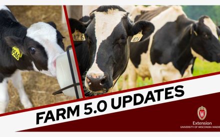 A dairy calf and two cows are shown. "FARM 5.0 UPDATES" in bold letters. Below that, the logo of the University of Wisconsin-Madison Extension.