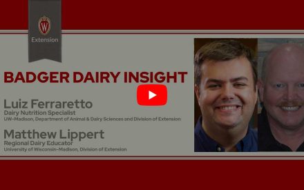 The image is a screenshot from a video titled "Badger Dairy Insight" featuring Luiz Ferraretto and Matthew Lippert. The top portion displays the University of Wisconsin Extension logo. Below that is a play button icon for the video.