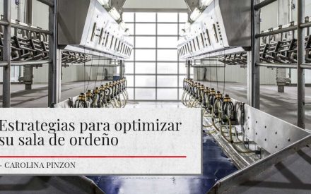 Vista interior de una sala de ordeño moderna con múltiples máquinas de ordeño alineadas en filas. La instalación está bien iluminada con luz natural que entra a través de grandes ventanas al final de la sala. Un banner sobre la imagen dice ‘Estrategias para optimizar su sala de ordeño’ con el nombre de la autora, Carolina Pinzon, debajo.