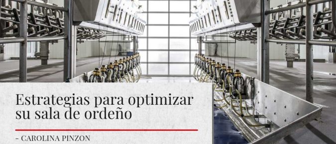 Estrategias para optimizar su sala de ordeño