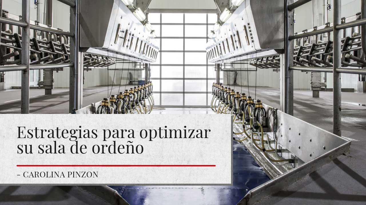 Vista interior de una sala de ordeño moderna con múltiples máquinas de ordeño alineadas en filas. La instalación está bien iluminada con luz natural que entra a través de grandes ventanas al final de la sala. Un banner sobre la imagen dice ‘Estrategias para optimizar su sala de ordeño’ con el nombre de la autora, Carolina Pinzon, debajo.