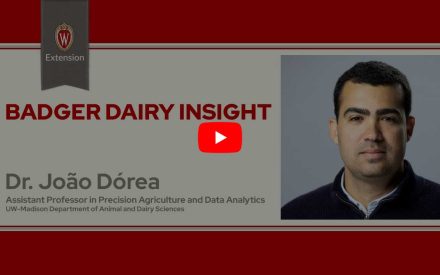 The image is a screenshot from a video titled "Badger Dairy Insight" featuring Dr. Joao Dorea. The top portion displays the University of Wisconsin Extension logo. Below that is a play button icon for the video.