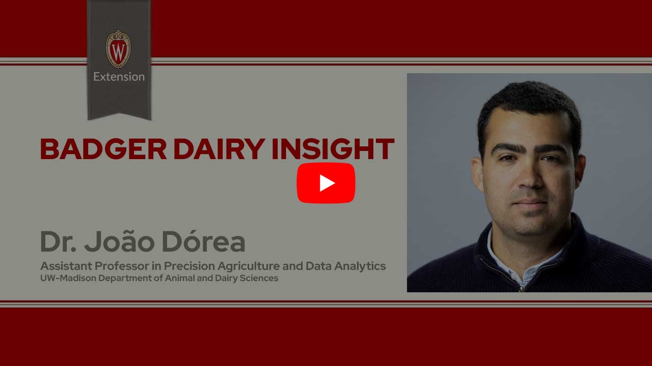 The image is a screenshot from a video titled "Badger Dairy Insight" featuring Dr. Joao Dorea. The top portion displays the University of Wisconsin Extension logo. Below that is a play button icon for the video.