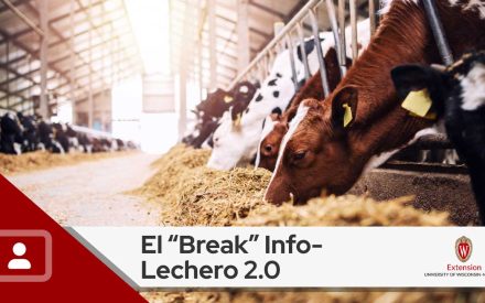 Dairy Spanish Webinar Series: El “Break” Info-Lechero 2.0