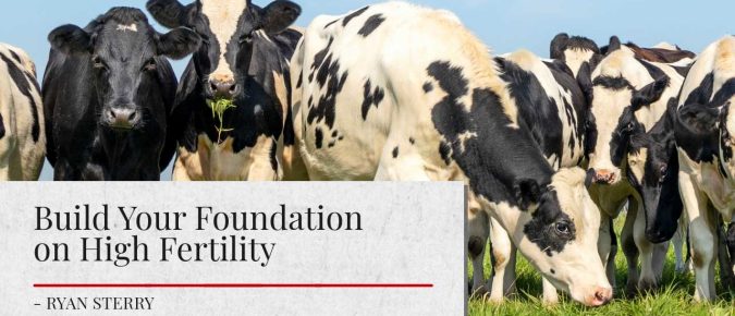 Build Your Foundation on High Fertility