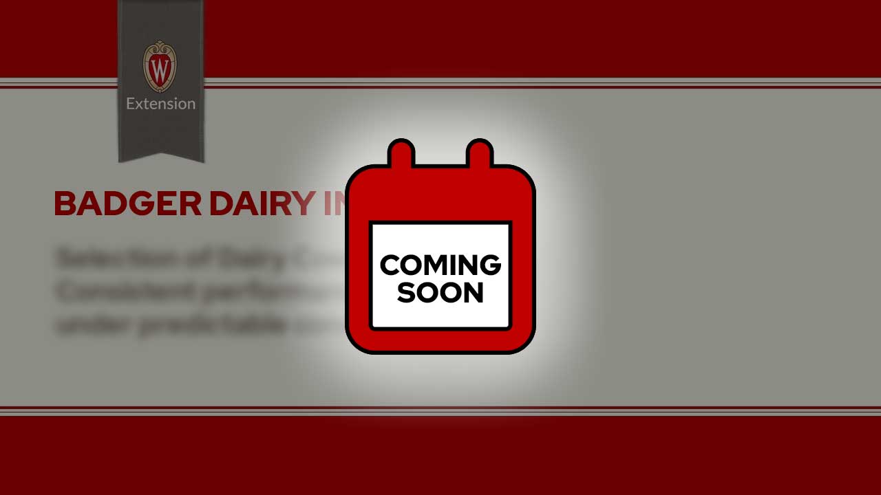 The image is a screenshot from a video titled "Badger Dairy Insight" featuring an icons saying "Coming Soon". The top portion displays the University of Wisconsin Extension logo. Below that is a play button icon for the video.