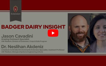 The image is a screenshot from a video titled "Badger Dairy Insight" featuring Jason Cavadini and Dr. Nesli Akdeniz. The top portion displays the University of Wisconsin Extension logo. Below that is a play button icon for the video.