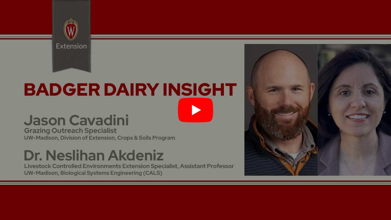 The image is a screenshot from a video titled "Badger Dairy Insight" featuring Jason Cavadini and Dr. Nesli Akdeniz. The top portion displays the University of Wisconsin Extension logo. Below that is a play button icon for the video.