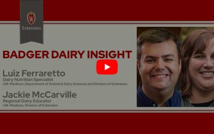 The image is a screenshot from a video titled "Badger Dairy Insight" featuring Luiz Ferraretto and Jackie McCarville. The top portion displays the University of Wisconsin Extension logo. Below that is a play button icon for the video.