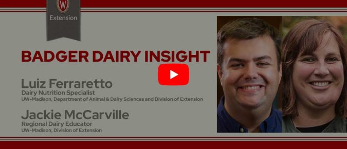 ▶️ Watch: Cows need fiber too!  Storage and feeding tips to minimize nutrient losses