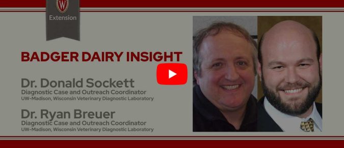 ▶️ Watch: New Concepts in Colostrum Feeding for Dairy Calves