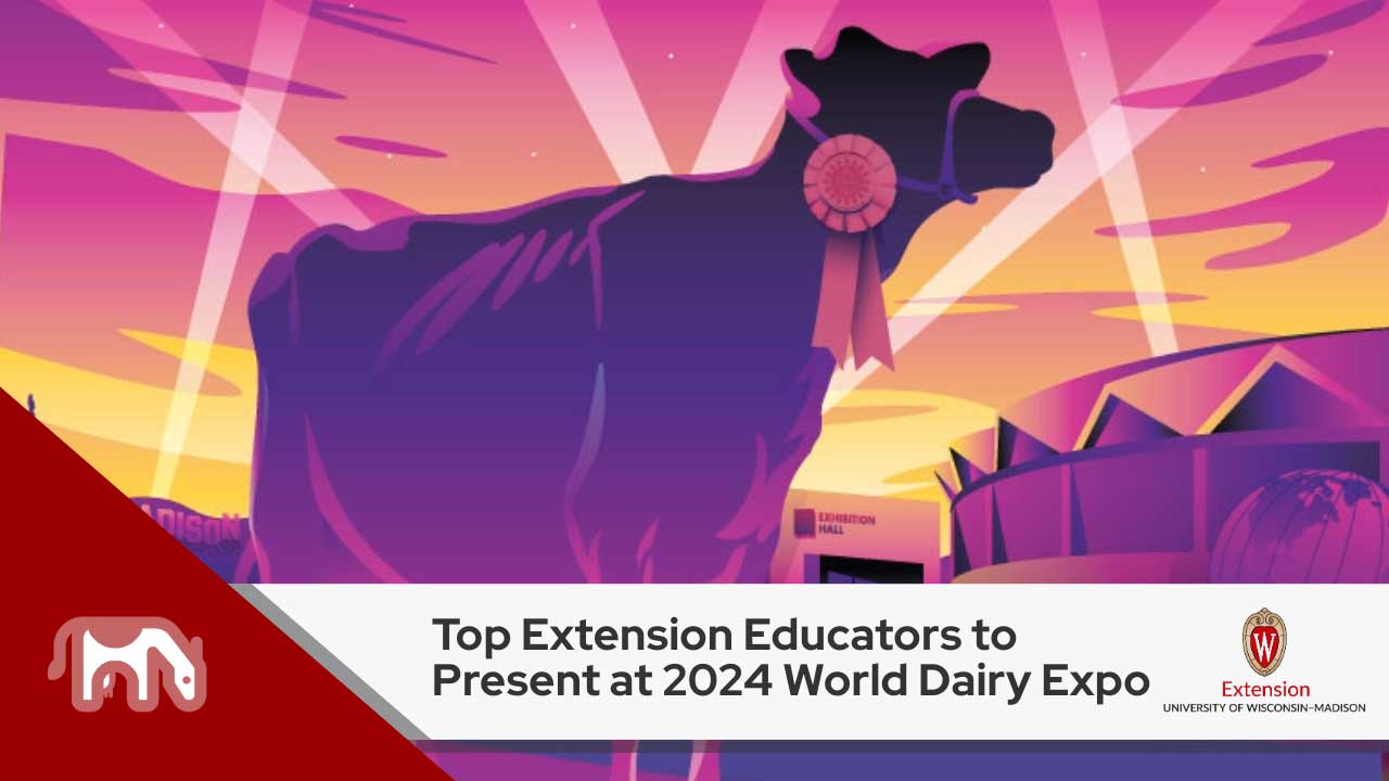 Image a stylized illustration of a dairy cow with spotlights and clouds in the background. Text reads ‘Top Extension Educators to Present at 2024 World Dairy Expo’ in black letters against a white background, above which is the logo for University of Wisconsin- Madison, Division of Extension.