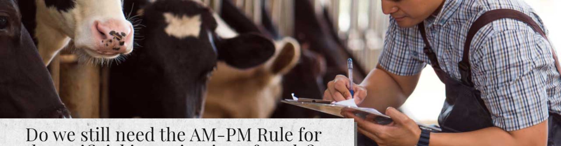 A dairy farmer in overalls and a plaid shirt makes notes on a clipboard while standing next to Holstein dairy cows in a barn. Overlaid text asks 'Do we still need the AM-PM Rule for the artificial insemination of cattle?' and is attributed to Ryan Sterry.