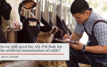 A dairy farmer in overalls and a plaid shirt makes notes on a clipboard while standing next to Holstein dairy cows in a barn. Overlaid text asks 'Do we still need the AM-PM Rule for the artificial insemination of cattle?' and is attributed to Ryan Sterry.