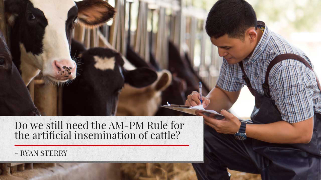 A dairy farmer in overalls and a plaid shirt makes notes on a clipboard while standing next to Holstein dairy cows in a barn. Overlaid text asks 'Do we still need the AM-PM Rule for the artificial insemination of cattle?' and is attributed to Ryan Sterry.