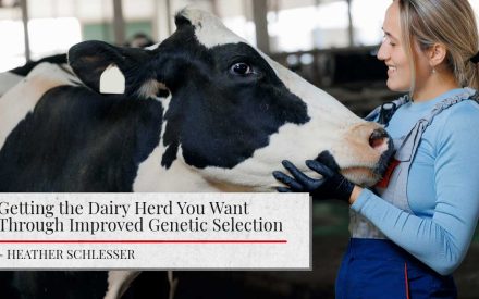 A female dairy worker inspects a cow. The article title "Getting the Dairy Herd You Want Through Improved Genetic Selection" is shown along with the name of the author: "Heather Schlesser".