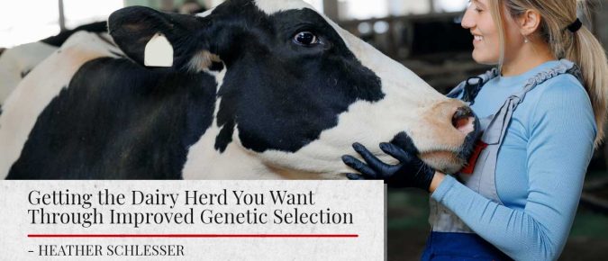 Getting the Dairy Herd You Want Through Improved Genetic Selection