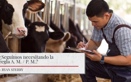 Un granjero lechero con overoles y una camisa a cuadros anota en una tabla de apuntes mientras está parado junto a vacas lecheras Holstein en un granero. El texto sobrepuesto pregunta '¿Seguimos necesitando la regla A.M. / P.M. para la inseminación artificial del ganado?' y se atribuye a Ryan Sterry