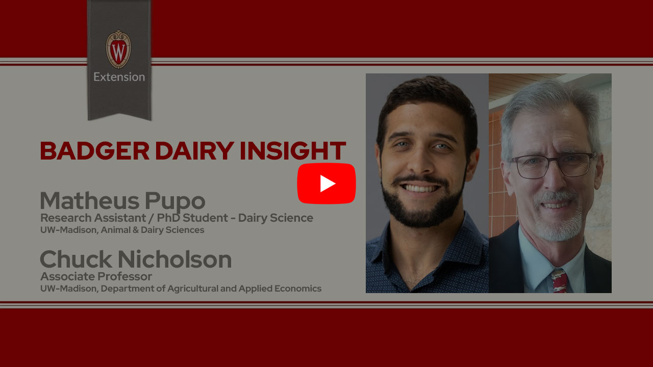 The image is a screenshot from a video titled "Badger Dairy Insight" featuring Matheus Pupo & Chuck Nicholson. The top portion displays the University of Wisconsin Extension logo. Below that is a play button icon for the video.